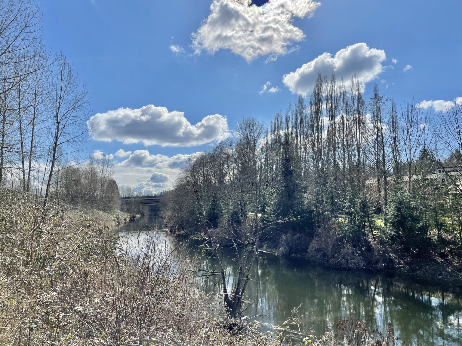 Bear Creek Trail Experience Redmond