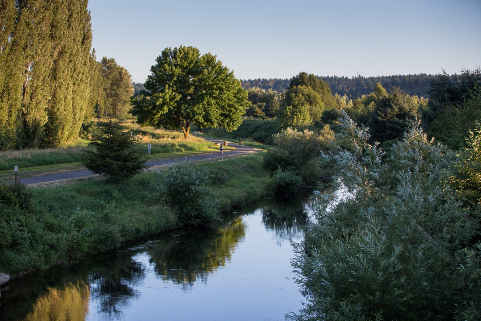 Sammamish River Trail Experience - Sammamish River Trail 1536x1024 